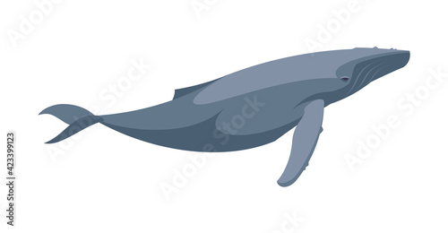 Flat blue whale. Vector illustration