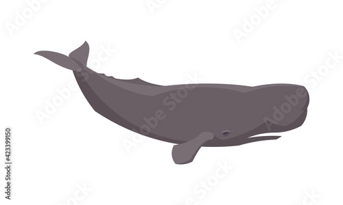 Flat sperm whale. Vector illustration
