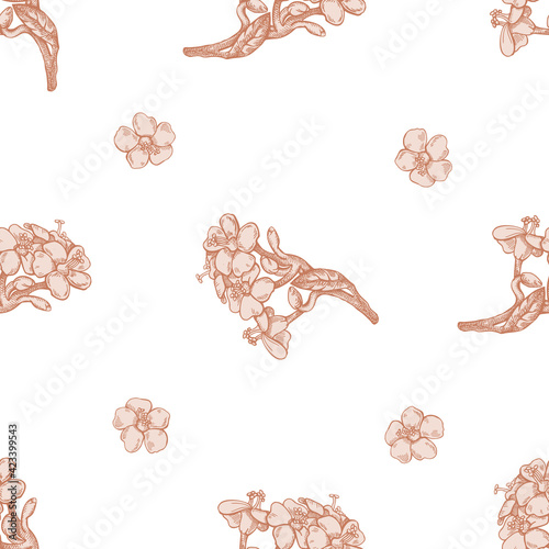 Seamless pattern with hand drawn pastel milkweed