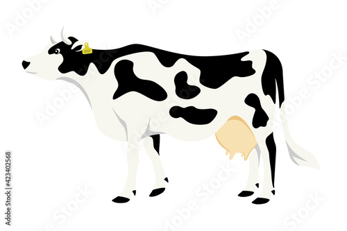 Colored illustration of a cow with a tag on the ear. Livestock smart farm. Suitable for use in infographics, article design, promotional materials, presentations. Color vector simple illustration. 