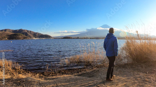 A man walking in between golden grass at the shore of Kawaguchiko Lake Japan with the view on Mt Fuji. He enjoying the view on the volcano. The mountain surrounded by clouds. Adventure and exploration