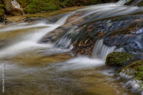 Ruisseau des Vosges