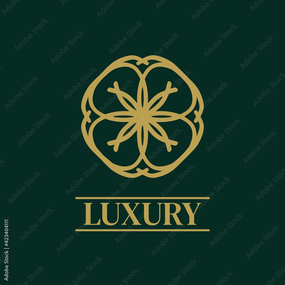 Mandala Geometric ornament logo Elegant premium icon vector design Mandala Geometric ornament logo Elegant premium icon vector design