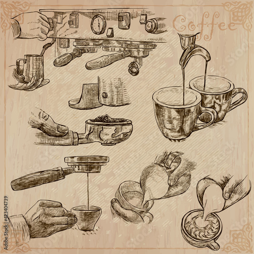 Coffee harvesting and processing. Agriculture. An hand drawn vector illustration.