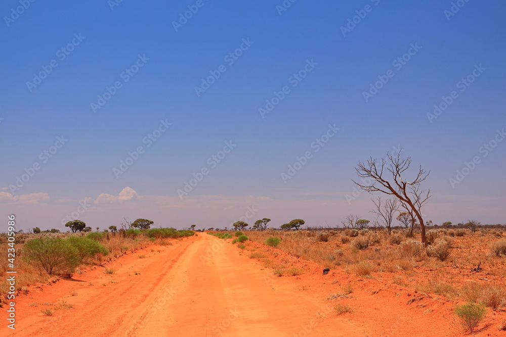 Fototapeta premium Australian outback wilderness and remoteness