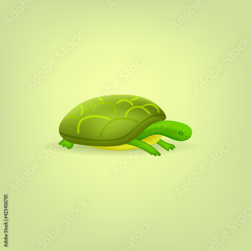 vector isolated color turtle illustration
