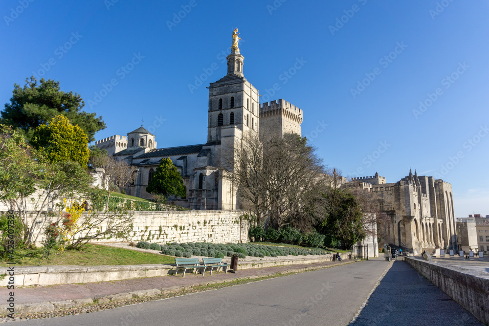 view of the historic Palais du Pape in Avignon