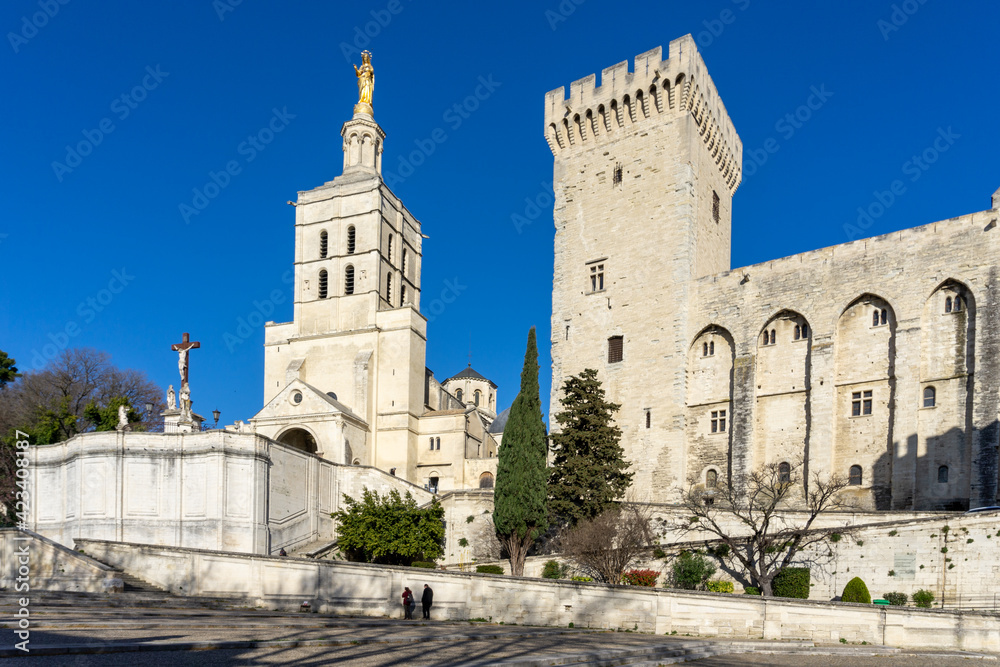 view of the historic Palais du Pape and city square in Avignon