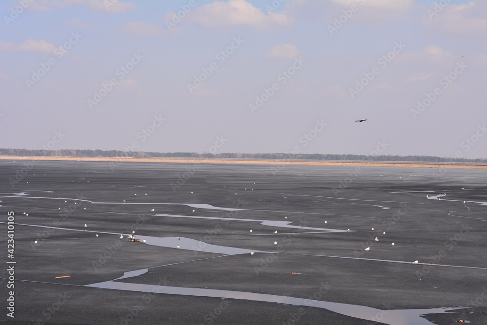 Fototapeta premium snow on the road