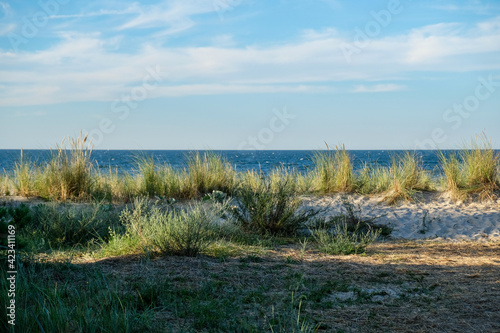 The view of the Baltic Sea from the dune on the beach of the small seaside resort of Zempin on Usedom