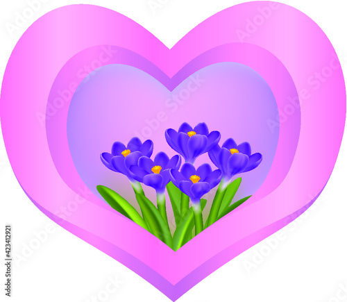 heart of the Crocus flower, greeting card, Valentine