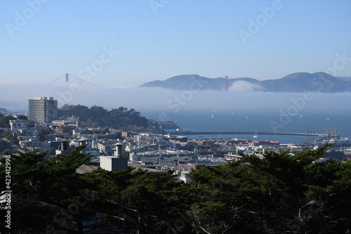 View from Coit tower overlooking entire San Francisco California Bay Area with the Golden Gate Bridge and houses