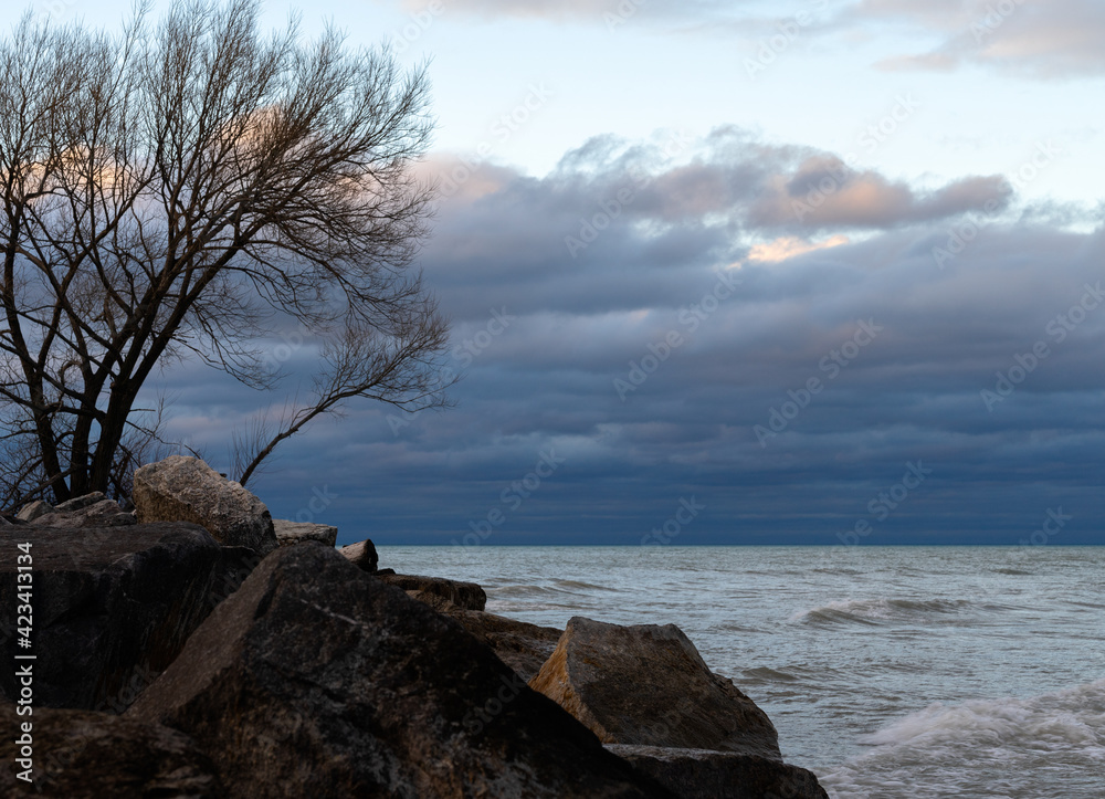 A landscape view of a tree on the coast of the Lake Michigan in the early spring A landscape view of a tree on the coast of the Lake Michigan in the early spring