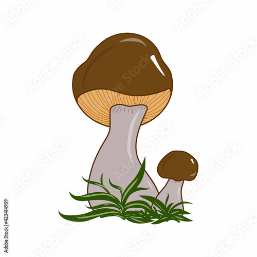 Orange-cap boletus mushroom illustration. Colorful nature. Fungi. Idea for decors, picture in frame, gifts, ornaments, celebrations, invitation, greeting, logo, autumn holidays, environment themes. 