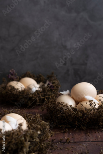 Conceptual still-life with hen eggs in nest over dark background