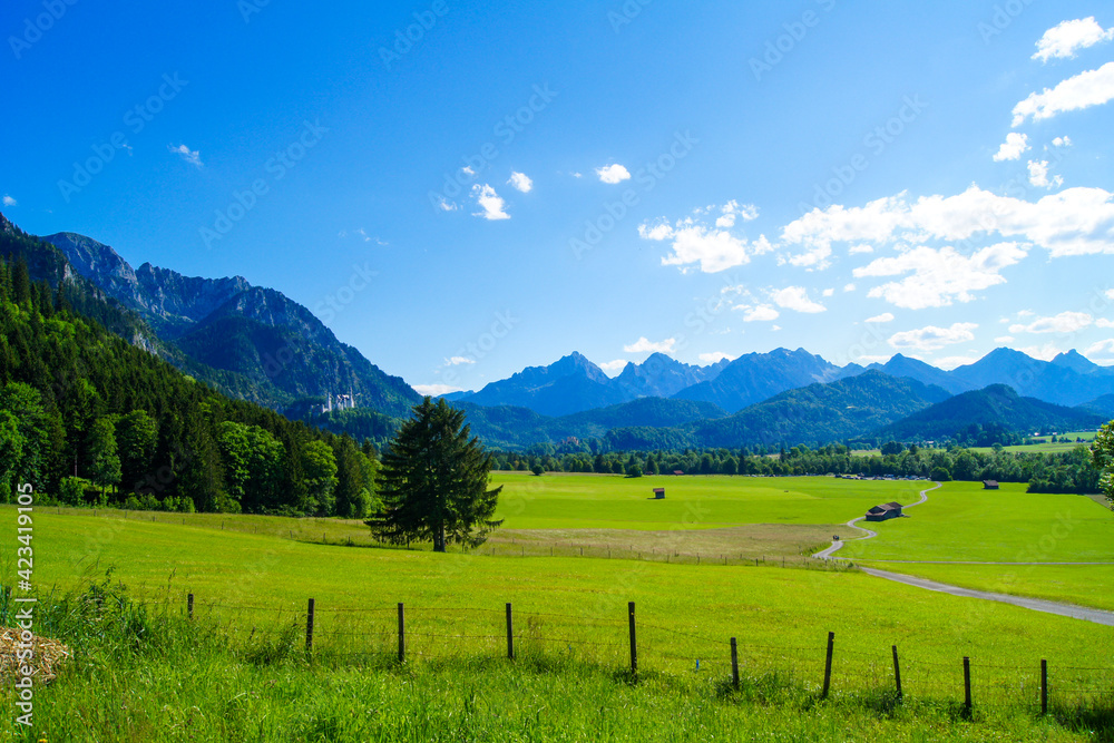 Spectacular alpine panoroma with fresh green meadows, forested mountain ...