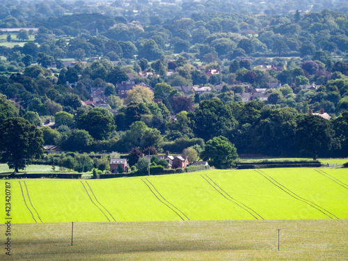 View of the Cheshire Countryside from Beeston Castle photo