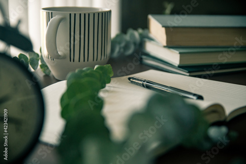 Eucalyptus Notebook