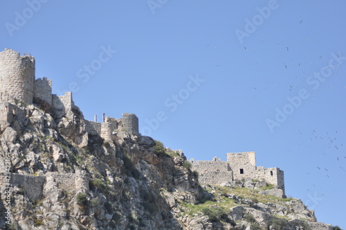 castle on the hill snake castle ceyhan adana yilankalesi march 2021 photo