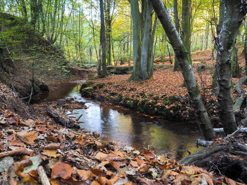 Scenic View of the Ashdown Forest in Sussex
