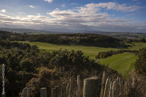 Killynether Country Park views