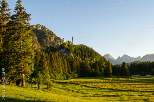 Spectacular alpine panorama showing Neuschwanstein Castle (Bavaria, Germany) on a forested hill surrounded by rough mountains under a cloudless blue sky illuminated by the golden evening sunlight.