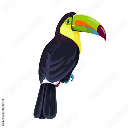 Rainbow-billed toucan, a tropical bird. Vector illustration isolated