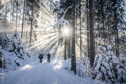 Obraz na płótnie Droga na Wiktorówki, Tatry w salonie