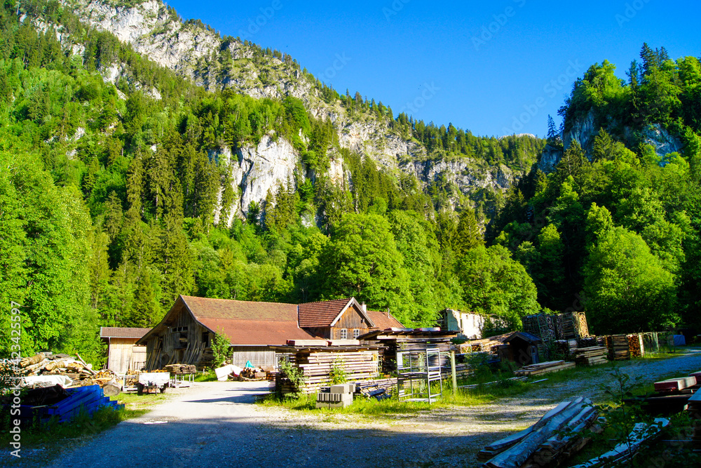 Fototapeta premium Old wooden sawmill house in front a forested mountain range near Neuschwanstein Castle, Bavaria, Germany. Stacked lumber and equipment is around the house.