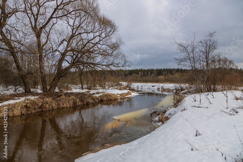 Spring landscape with a river and melting snow on the river bank. Dramatic sky. Large trees are reflected in the water. Early spring. © Sergei