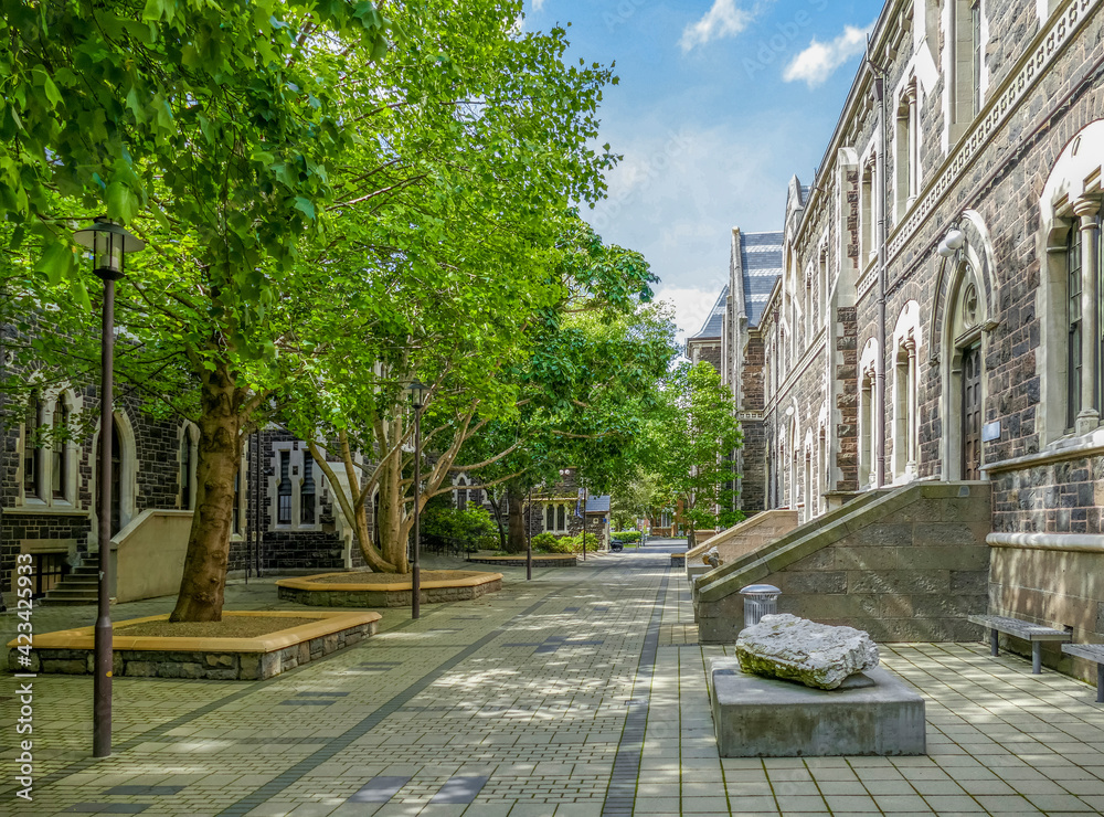 Fototapeta premium University of Otago