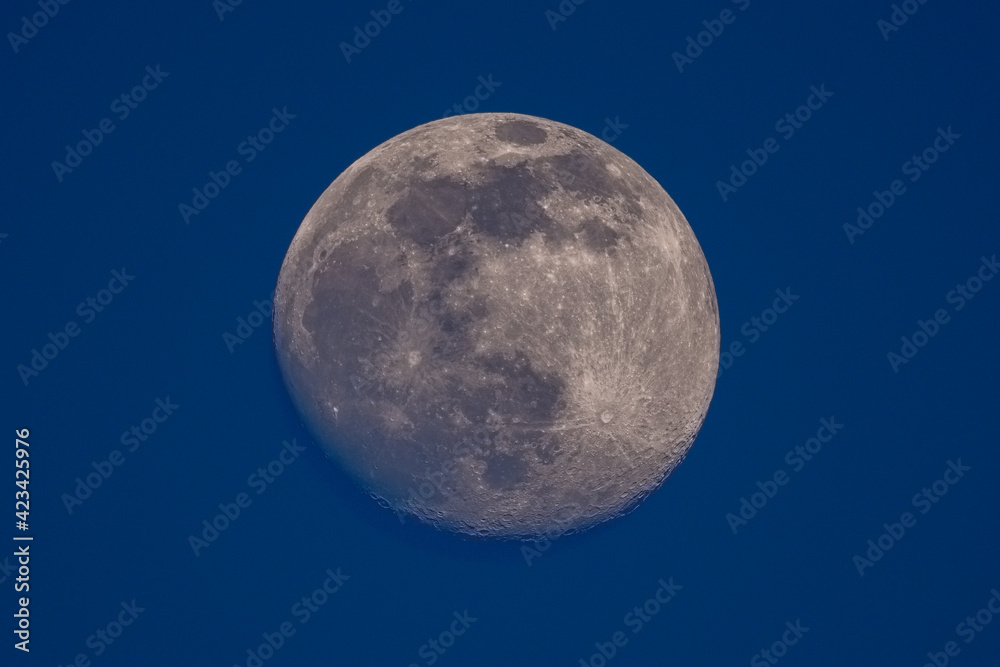 Mond Mond