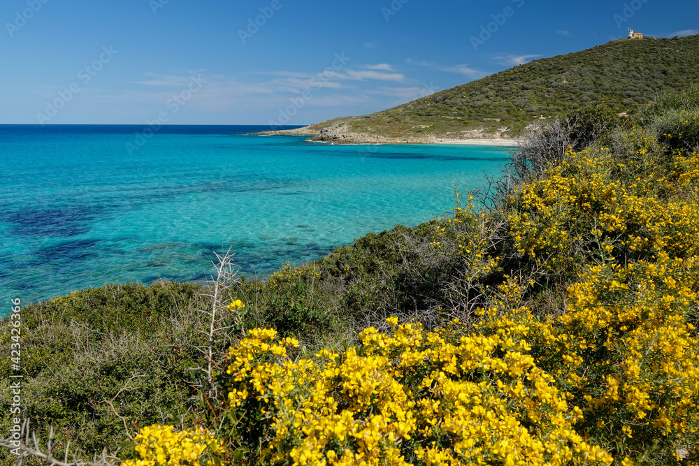 La plage de Bodri, Corbara en Corse