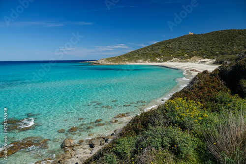 Fototapeta Naklejka Na Ścianę i Meble -  La plage de Bodri, Corbara en Corse