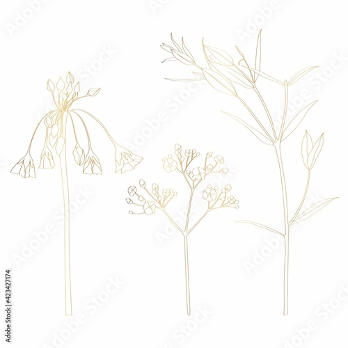 Beautiful golden flowers and herb branches isolated on white background. Hand-drawn contour line for greeting cards and invitations of wedding, birthday, mother's day