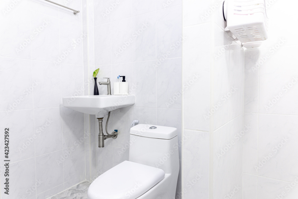 White toilet and flush toilet and washbasin White toilet and flush toilet and washbasin