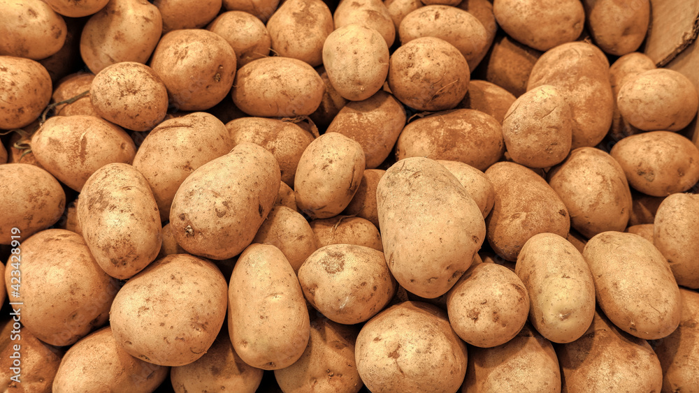 Brown fresh potatoes are sold in the market of Valencia. The newly harvested potatoes have already appeared on the market Brown fresh potatoes are sold in the market of Valencia. The newly harvested potatoes have already appeared on the market