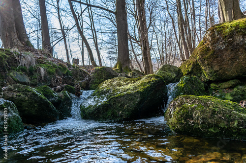 mountain river flows among stones and rocks in a mountain forest