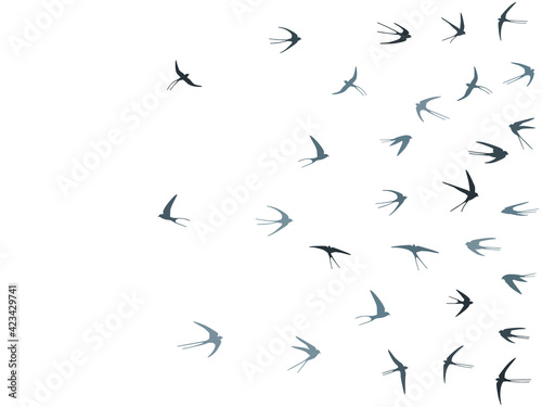Flying martlet birds silhouettes vector illustration. Migratory martlets swarm isolated on white.