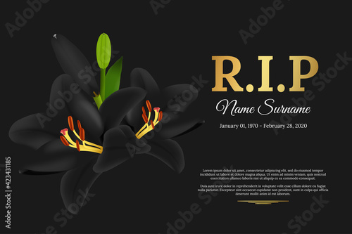 Funeral card with black funeral lily flower, name, birth and death dates. Obituary memorial, gravestone card concept design. Golden text RIP on black background. Vector illustration