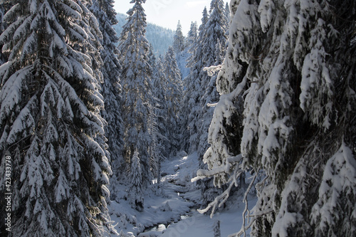 Winter valley with small spring