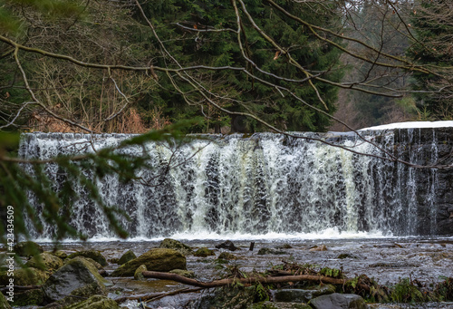 Cascade falls over mossy rocks