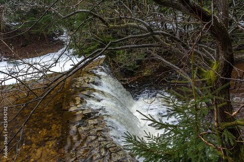 Cascade falls over mossy rocks