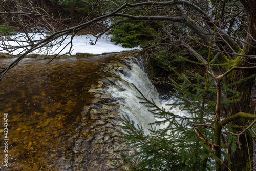 Cascade falls over mossy rocks