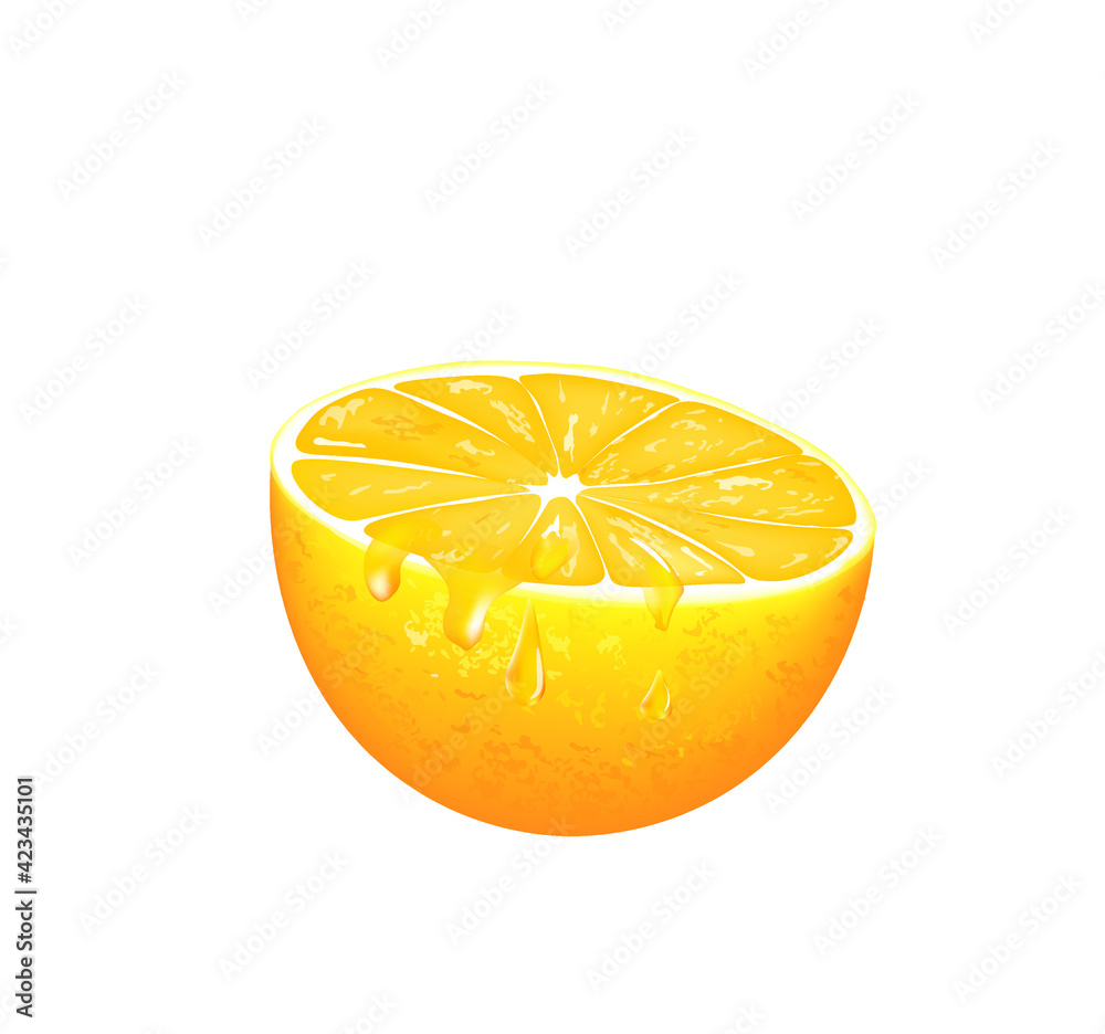 Half orange slice. vector illustration