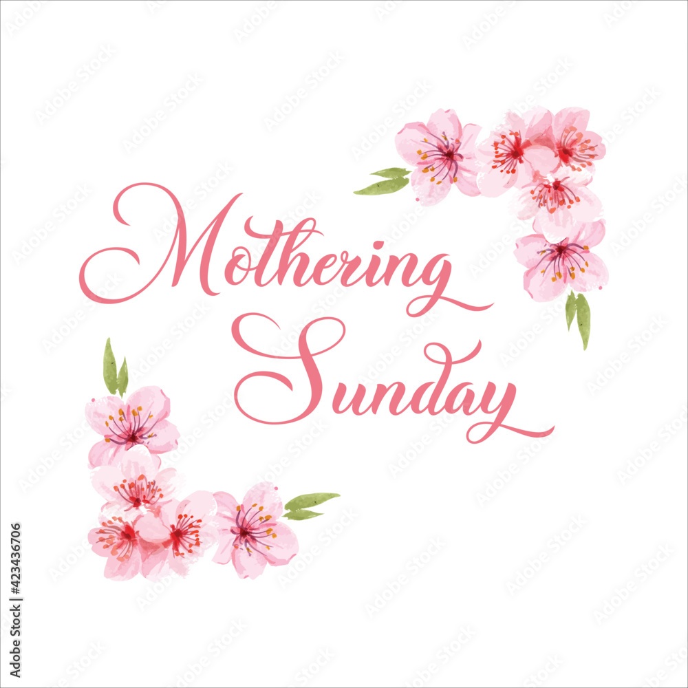Mothering Sunday banner with cherry blossoms. Pink flowers over blue painted stripes on white. Mothering Sunday greeting card template, rectangular frame border with calligraphic text vector Mothering Sunday banner with cherry blossoms. Pink flowers over blue painted stripes on white. Mothering Sunday greeting card template, rectangular frame border with calligraphic text vector