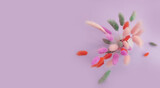 flower lagurus vase fluffy on colored background