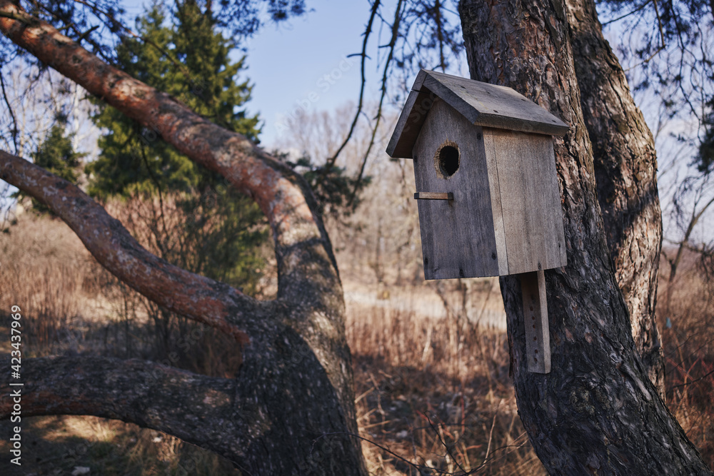 Homemade wooden birdhouse hangs on a tree.