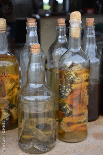 Which snake drink do you prefer?