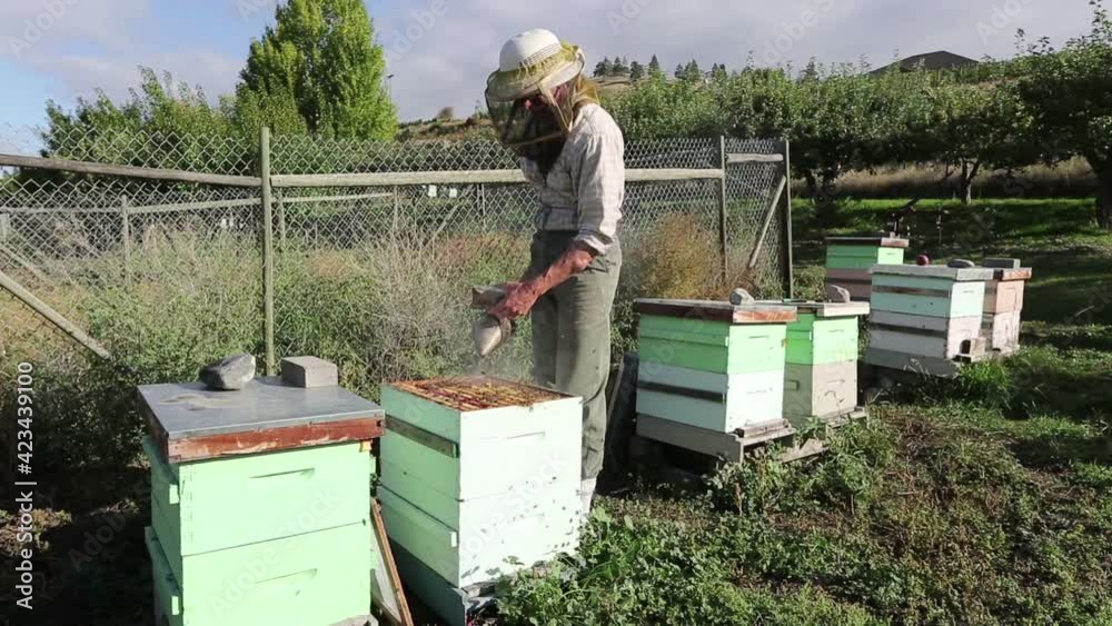 Beekeeper Apiary Honey Agricultural Occupation Beekeeper Apiary Honey Agricultural Occupation